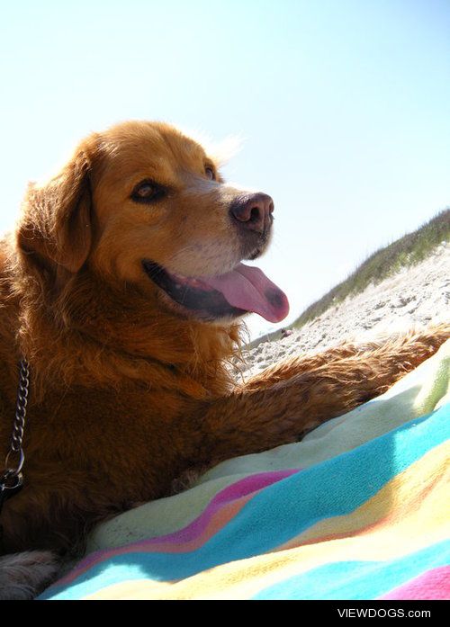 This was my baby boys first trip to the beach a few years ago.
