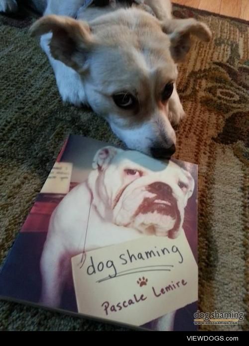 Sparky caught with his Dog Shaming Book

In honour of “Get…