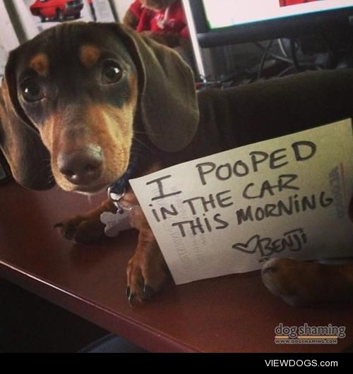 I pooped on the ‘Dash’board

I pooped in the car this morning….