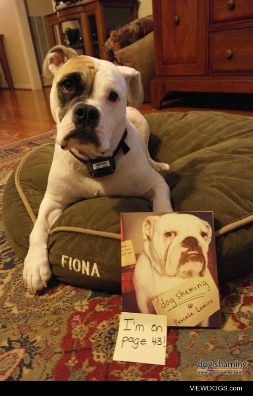 Fiona’s Literary Shame

In honour of “Get Caught Reading” month,…
