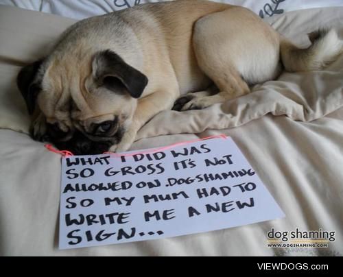 A Very Naughty Pug!

What I did was SO gross it’s not…