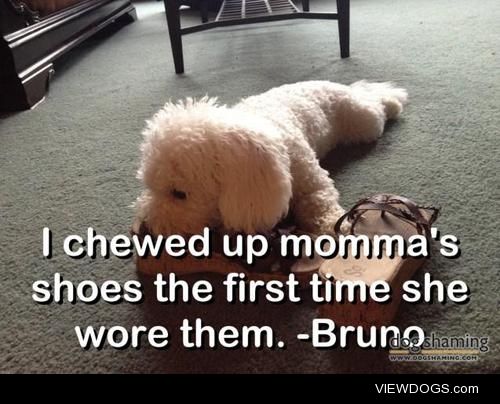 Bru-NO!

“I chewed up momma’s shoes the first time she…