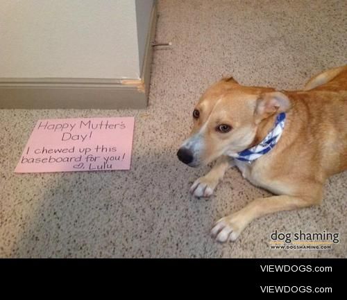 Lulu Loves Helping Mom Redecorate

After a nice brunch on the…