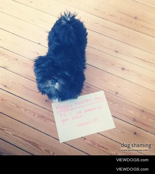 I don’t like your couch, mom

Sign says: “Happy Mothers…