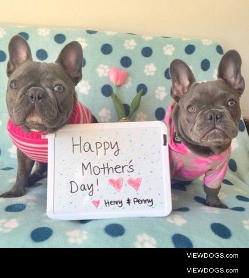 Happy Mother’s Day from @henryandpenny…