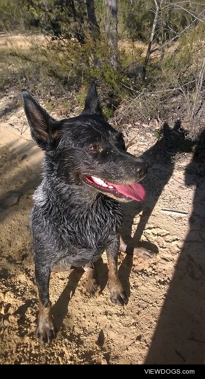 Wet, dirty and happy!