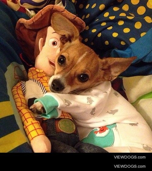 “Me an Woody going nighs now, k?” via @rexdelfino…