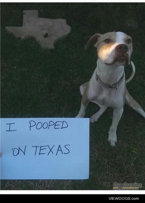 I Messed with Texas

I pooped on Texas.