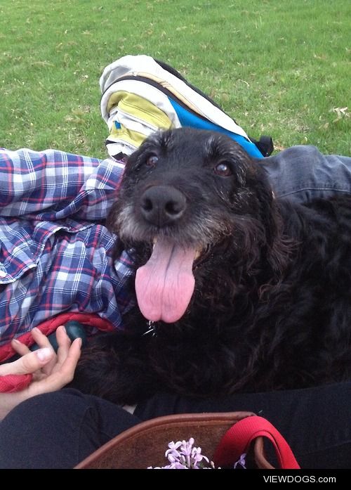 Betty’s first picnic