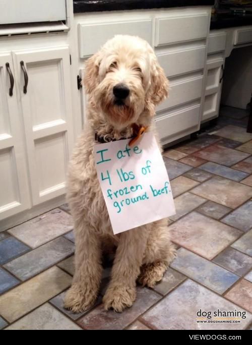 You’re grounded!

I ate 4 lbs of frozen ground beef.