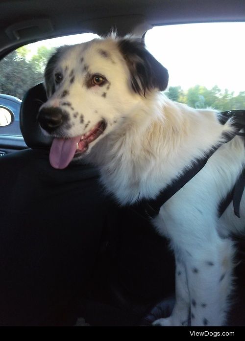 He loves car rides
