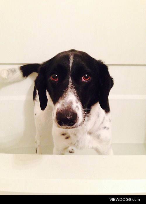 Luna gets a bath