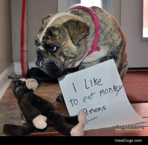 Braiiiiiins!!!!

I (Pumba the English Bulldog) like to eat…