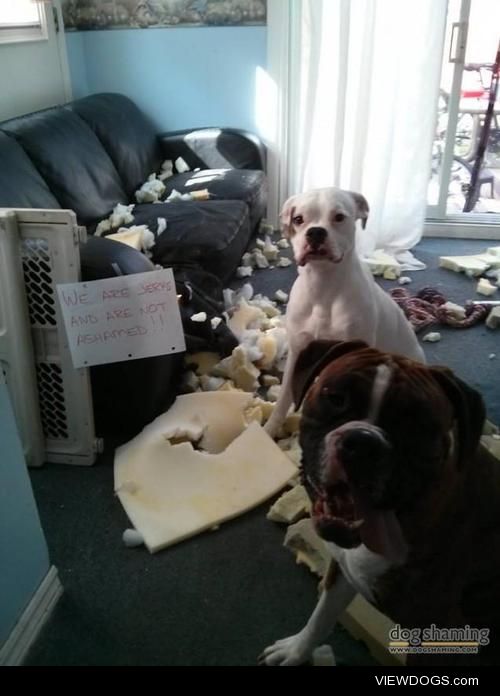 Hulk, SMASH

We got the couch monster mom. It took a lot of…