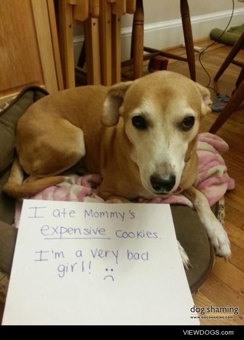 Who Stole the Cookie From the Cookie Jar?

I ate mommy’s…