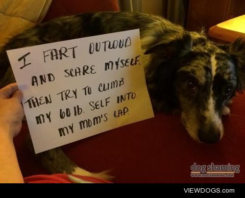 Save be from myself!

I, Toby, farts out loud and it scares me….