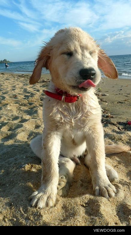 Cooper’s opinion of his first visit to the beach.