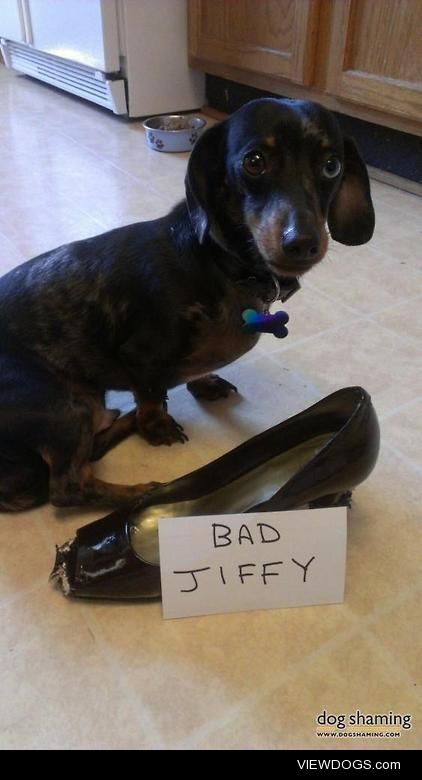 Need a peep toe? Back in a Jiffy!

Jiffy Muffin Mix likes shoes,…