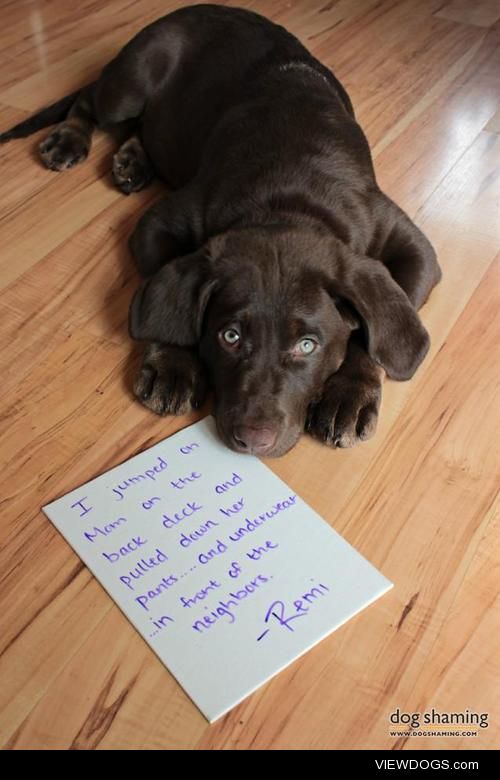 I ‘pantsed’ Mom…

“I jumped on Mom on the back deck and pulled…