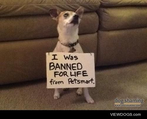 Self-serving mean dog

I’ve been BANNED FOR LIFE from…