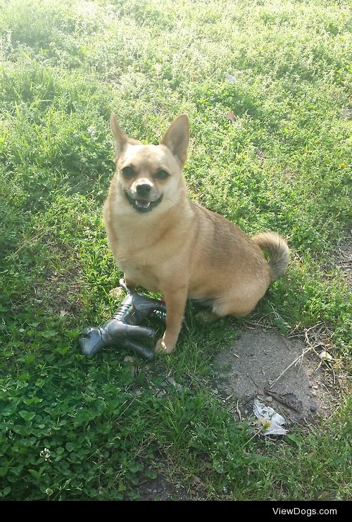 3-year-old Lita striking a quick pose before enjoying a nice…