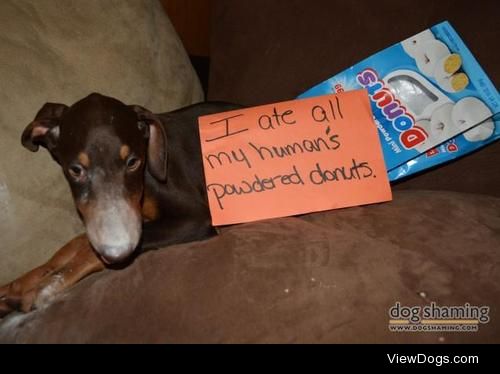 Do-nut blame me for this

My doberman, Kratos, got into my…