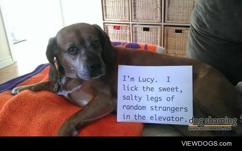 Human salt lick

Miss Lucy is very friendly, especially in the…