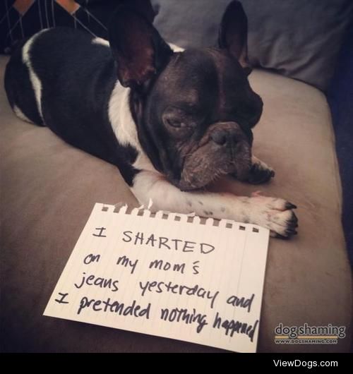 TP jeans

My frenchie Rambo farts all the time. So I…