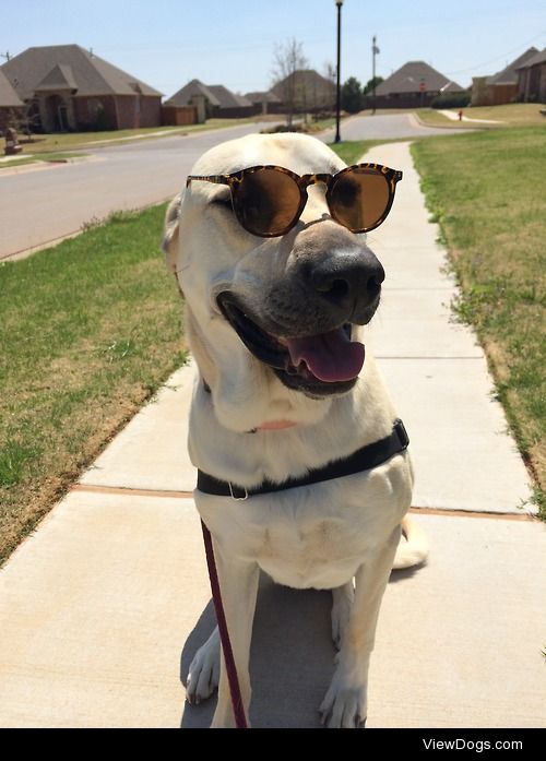 my bud Aslan looking cool while staying cool