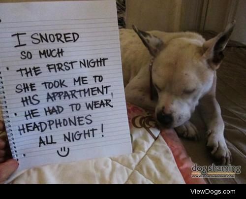Snoring Third Wheel

When I took my new rescued dog over to my…