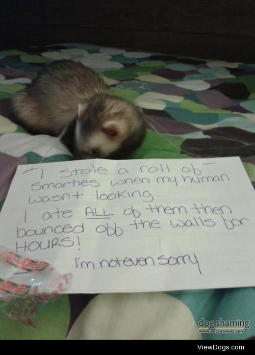 We’re here ferret good time, not a long time

This is my ferret,…