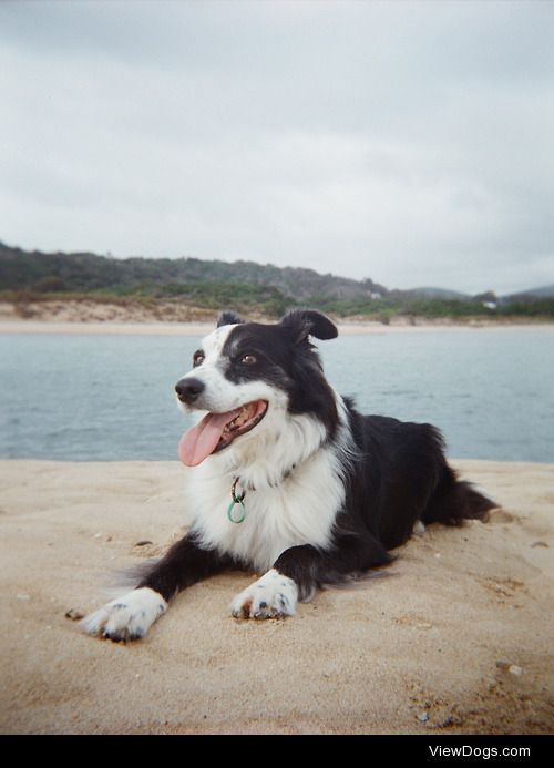 Luca, the Old Man of Weymouth