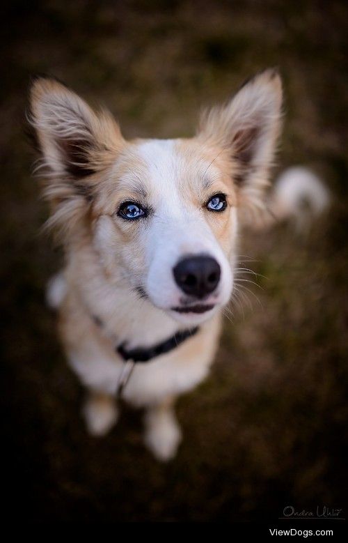 BlueEye / / Ondřej Uhlíř