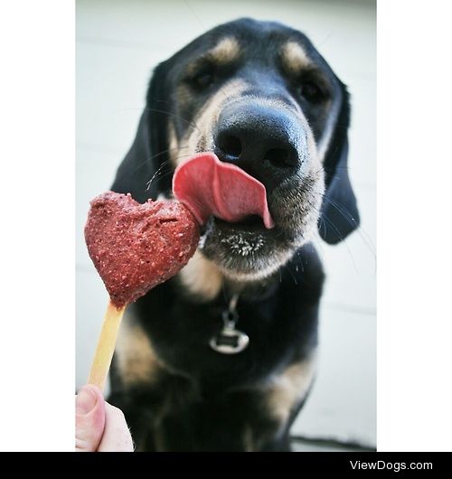 Mister Beau is beating the heat with an icy treat! Follow on…