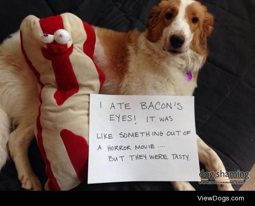 Dogs love Bacon..

I used to have a blog in which my Bacon went…