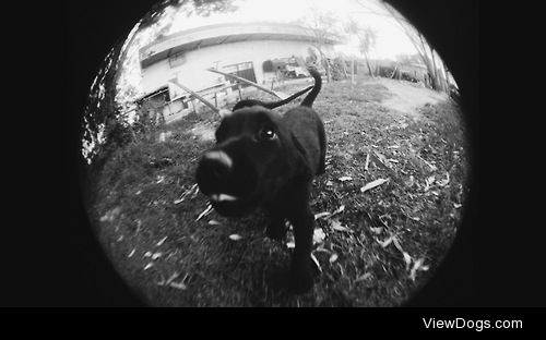 A little guy I met last month.