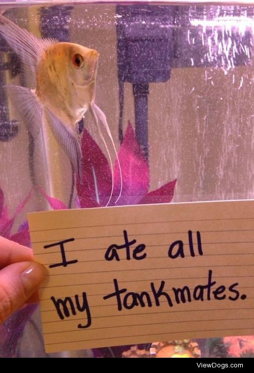 fish shaming [x]