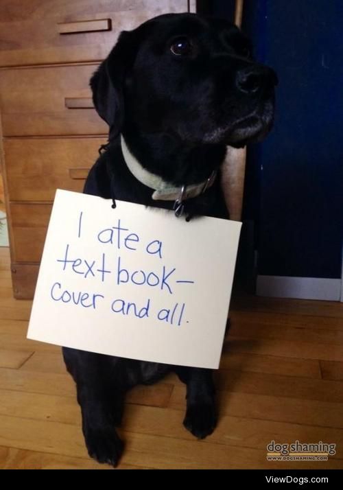 Textbook dog behaviour – so much for Finals!

“I ate a textbook…