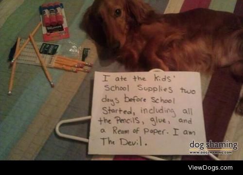 It’s too early for back to school!!

My dog Brian got into the…
