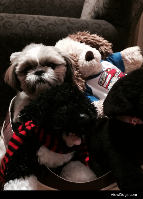 Just a basket full of toys 