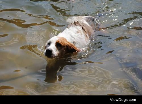 Helen, my gorgeous girl going for her first swim ever. She is…