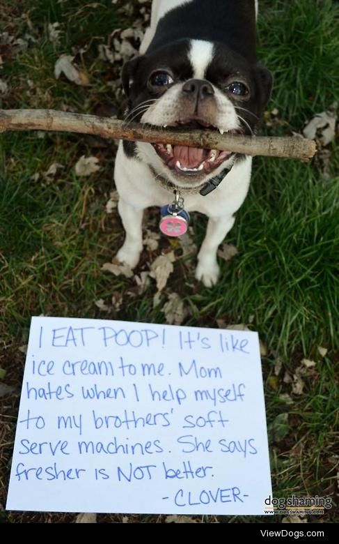 Who doesn’t like soft serve?

I EAT POOP! It’s like ice…