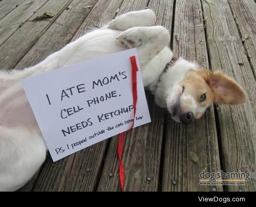 It was time to upgrade anyway

I ate Mom’s cell phone….