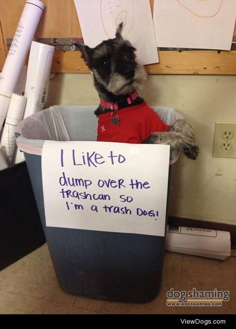 Trash Dog

I like to dump over the trash can so I’m a…