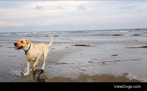 Emma girl at Sullivan’s island, SC