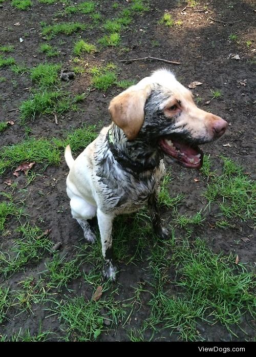 our lil muddy buddy