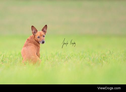 Toby, my best friend for the past 9 years, and hopefully many…