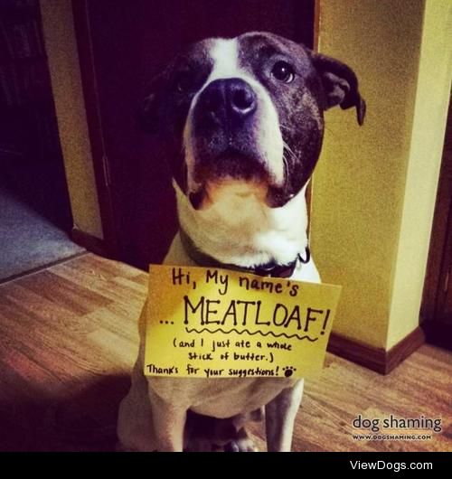The Name Game

Meatloaf’s human just rescued him a few…