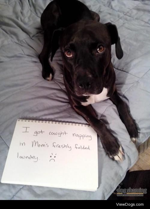 Woofite for darks

Frankie thinks warm folded laundry is…