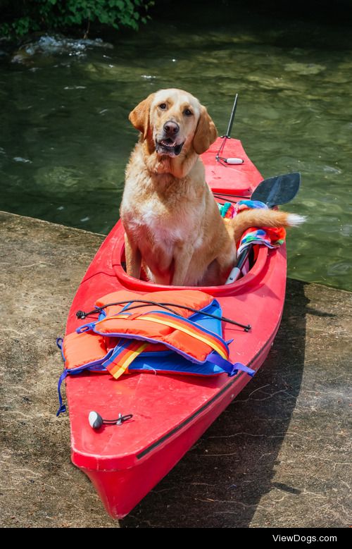 hiitsmemickey:

LOOK AT MICKEY
LOOK 
MICKEY IS KAYAKING
YAY…